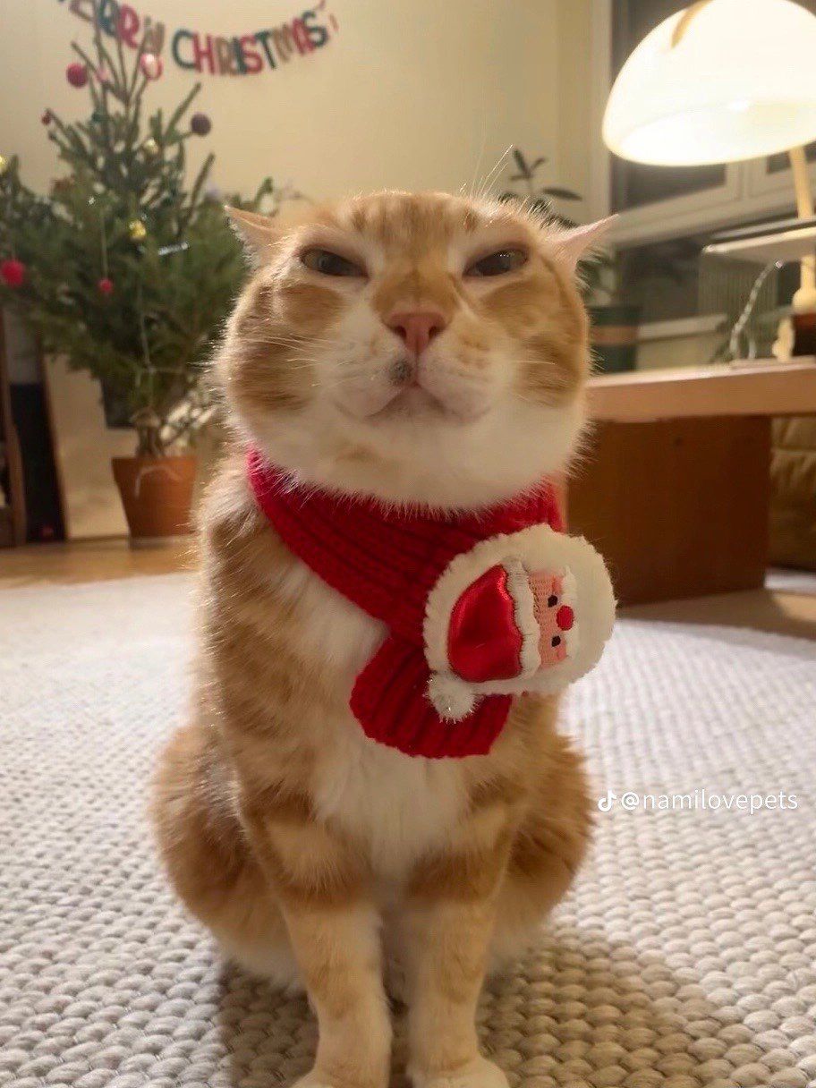 куда он делся?